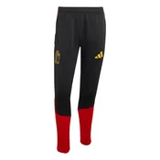 ADIDAS PERFORMANCE Športne hlače Belgien 26 Tiro rumena/rubin rdeča/črna