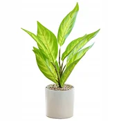 Import UMETNA LONČNICA RASTLINA REALISTIČNA 34 CM GRM BONSAI DEKORACIJA