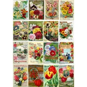 Enjoy - Puzzle Vintage Flower Seed Packets - 1 000 dijelova
