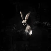 Ghostkid - Follow The White Rabbit (Neon Pink Coloured) (LP)