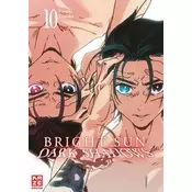Bright Sun - Dark Shadows - Band 10