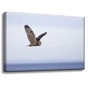 shumee Platno s sliko Živali Sova v letu 60x40 cm