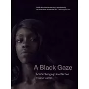 A Black Gaze