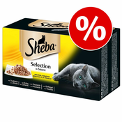 Mega pakiranje Sheba različice v vrečkah 48 x 85 g - Selection in Sauce različice perutnine