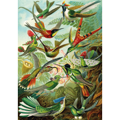 KS Games - Puzzle Haeckel: Kolibri - 1 500 kosov