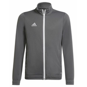 Adidas Športni pulover 110 - 116 cm/XXS Entrada 22 Track