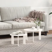 vidaXL Set kavno mizico 2 pcs Bela 47.5 x 47.5 x 27 cm