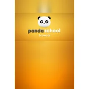 Panda School Browser Steam Key (PC) GLOBAL
