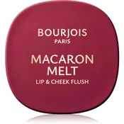 Bourjois Macaron Melt rumenilo 2 u 1 nijansa 05 Berry Smoothy 5 g