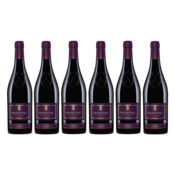 Vinarija Aleksandrovic Prokupac crveno vino, paket vina, 6 boca