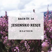 Bachove kapljice 14, Jesensko resje - Heather, 10 ml