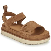 UGG GOLDENSTAR Kostanjeva