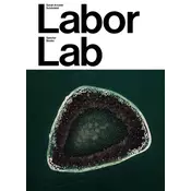 Sarah Ancelle Schönfeld: Labor Lab