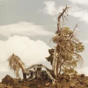 People Of The North - Steep Formations (2 LP)
