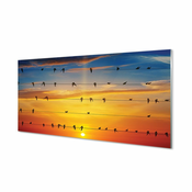 tulup.si Stenska plošča za kuhinjo Ptice na vrvi sončnem zahodu 125x50 cm