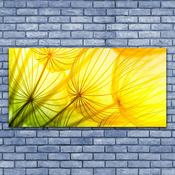 tulup.si Slika na steklu Regratove lučke rože narava 140x70 cm 2 obešalnika