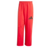 ADIDAS SPORTSWEAR Športne hlače Essentials rdeča/črna