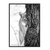 shumee PLAKAT ZA SLIKE V OKVIRJU 43x33 cm Panter P1149