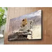 Wallity Dekorativna slika na platnu, 70x100cm, Šarena