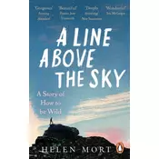 A Line Above the Sky