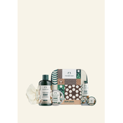 Creamy & Dreamy Coconut Essentials Gift XM23