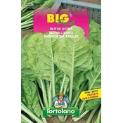 BLITVA LISTNA MANGOLD BIG PACK 20gr