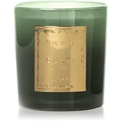 Culti Milano ELIE SAAB x CULTI MILANO Golden dišeča sveča 550 g