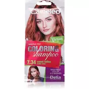 Delia Cosmetics Cameleo Coloring Shampoo šampon za toniranje za lase odtenek 7.34 Sweet Toffee 40 ml