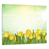 shumee STEKLENA PLOŠČA ZA KUHINJO 65x60 Tulipani