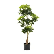 MID.YOU Umetna Rastlina Schefflera