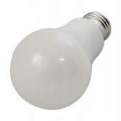 master LED LED sijalka E27 A95 24W 2200lm 6200K