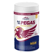 Vitar Veterinae ArtiVit Pegas MSM 720 g