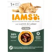 IAMS Mokra hrana za mačke od 1. leta - jagnjetina in jetra v želeju - 85 g