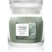 Yankee Candle Silver Sage & Pine dišeča sveča Signature 110 g