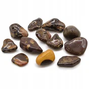 Poldragi kamen - Nguni Picture Jasper M21