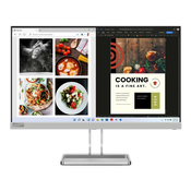 Monitor LENOVO L24i-40 23.8/IPS/1920x1080/75Hz/4ms/VGA,HDMI/FreeSync/zvucnici/siva