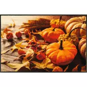 wash+dry PREDPRAŽNIK Pumpkin Glow 50/75 cm potiskano večbarvno