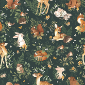 Otroška tapeta 10 m x 50 cm Forest Friends – Lilipinso