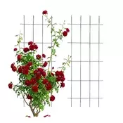 Northix Kovinska mrežna rešetka za vzpenjavke set 2 kos 150 cm