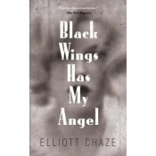 Black Wings Has My Angel