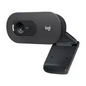 LOGITECH Web kamera C505E Long Range HD OEM