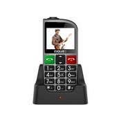 EVOLVEO mobilni telefon EasyPhone FM (EP800), Silver