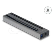 USB HUB DELOCK, 16-portni USB 3.2, s prekidačima, sivi