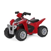 Quad Polaris Mini 6V