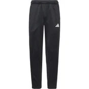 ADIDAS PERFORMANCE Športne hlače črna