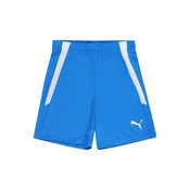 PUMA Športne hlače TeamLIGA, modra