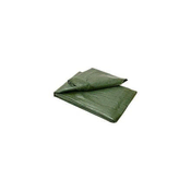 Ostatní Jadrati Euro tools 125189Q Covering tarpaulin ECONOMY, 8 x 12 m, 55 g/m?, green