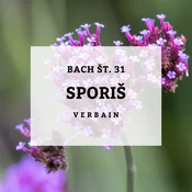 Bachove kapljice 31, Sporiš - Vervain, 10 ml