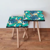 Hanah Home Set klub stocica 2Shp252, 2 komada, Šareni