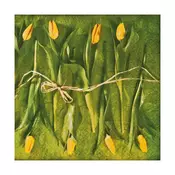 Serviete za decoupage Fresh Tulips - 1 kos (papirnate serviete)